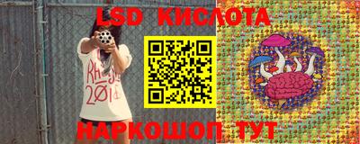 ПСИЛОЦИБИНОВЫЕ ГРИБЫ Шахты