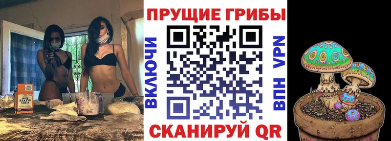 закладка  Полевской  Псилоцибиновые грибы GOLDEN TEACHER 