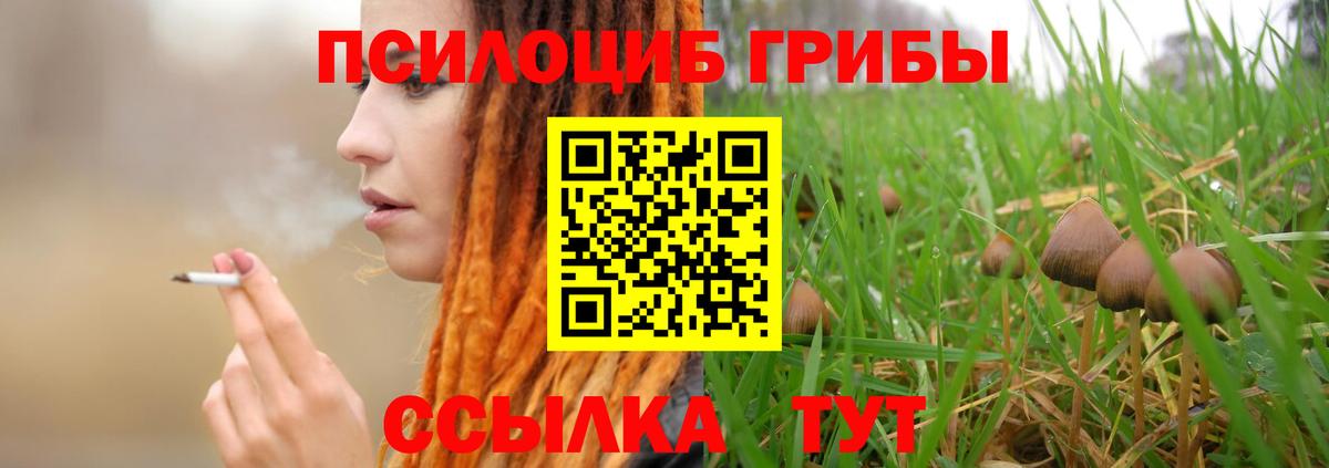 Полевской  Псилоцибиновые грибы Psilocybe  Вход с VPN 